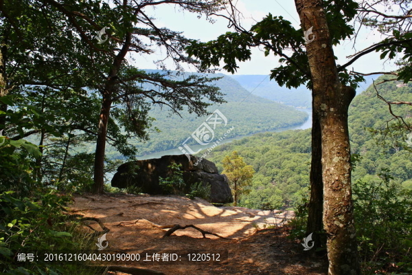 信號山觀