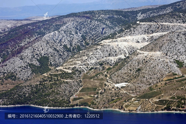 山坡上的島島