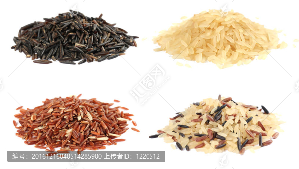 Rice收藏