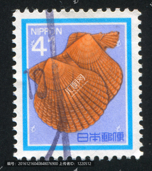 雙殼類