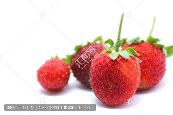 草莓