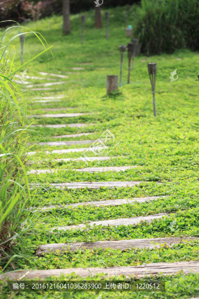 在花園走道