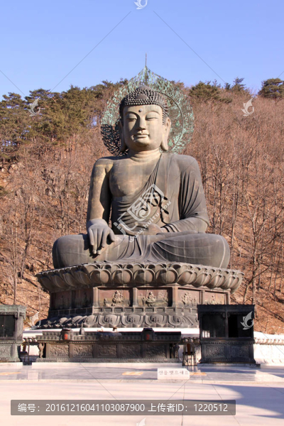 青銅巨佛雕像soraksan冬季