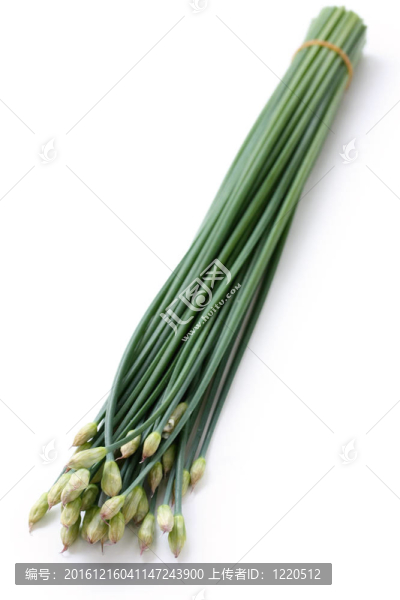 韭菜開花開花；