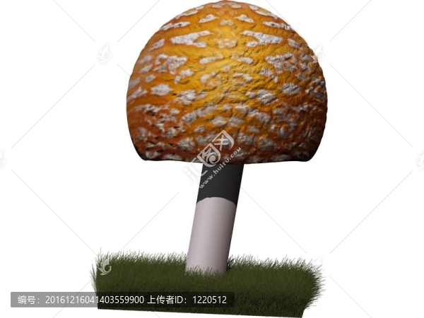 毒蠅傘草