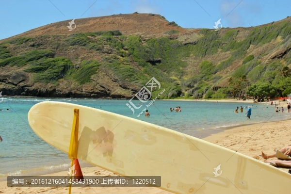 救生員的沖浪板