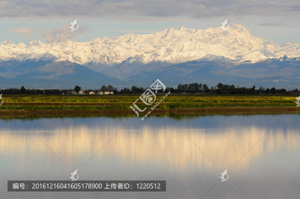 阿爾卑斯山和大米