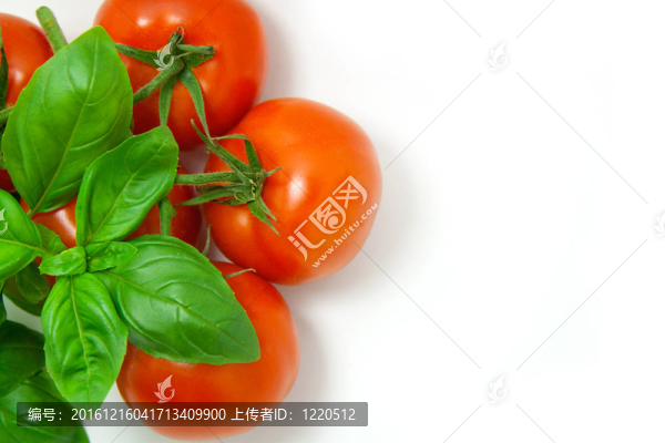 羅勒和番茄