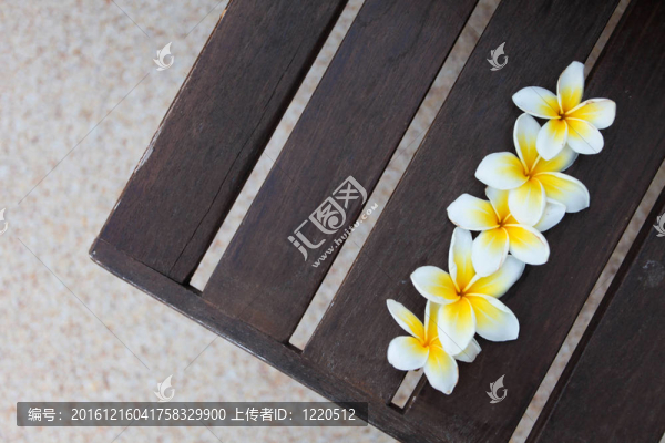 長(zhǎng)凳上的熱帶花卉
