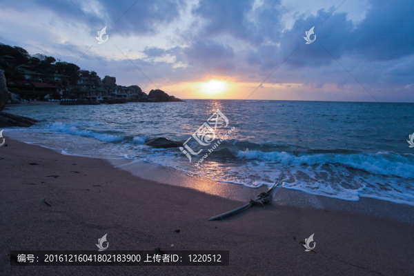 日出的海