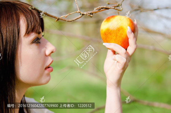 美麗女孩摘蘋果的畫像