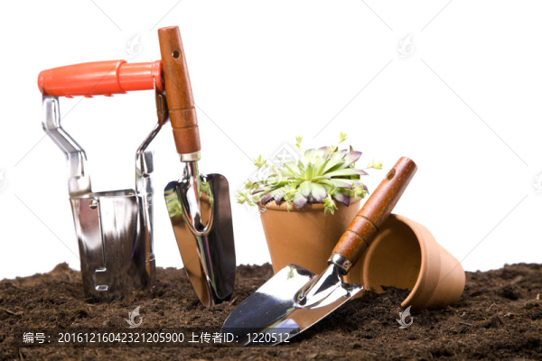 花卉與園林工具