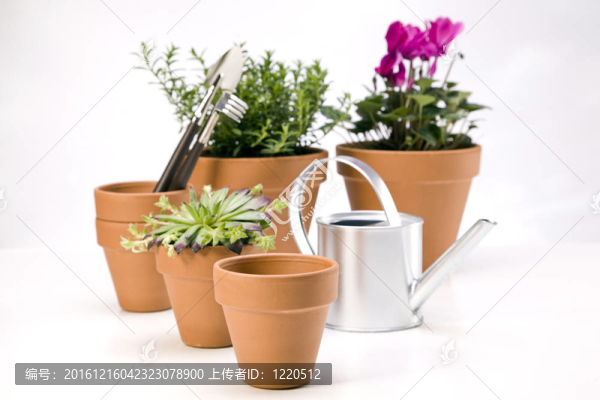 花卉與園林工具