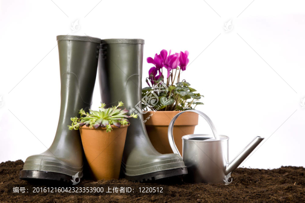 花卉與園林工具
