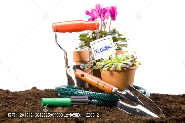 花卉與園林工具