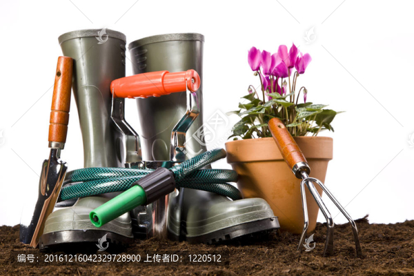 花卉與園林工具