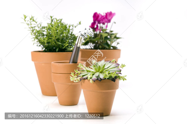 花卉與園林工具