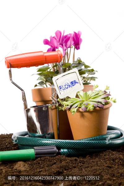 花卉與園林工具