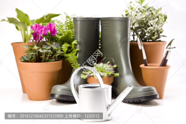花卉與園林工具