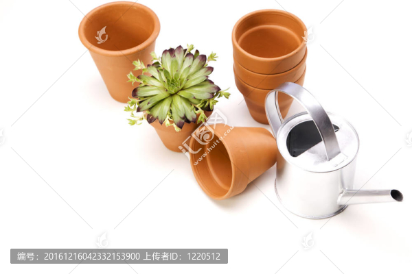 花卉與園林工具
