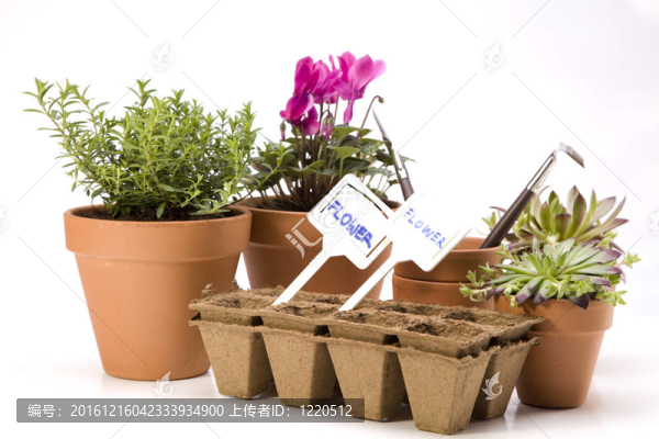 花卉與園林工具