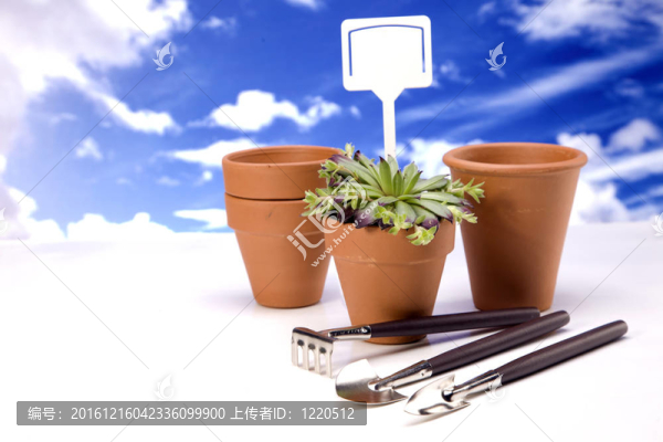 花卉與園林工具