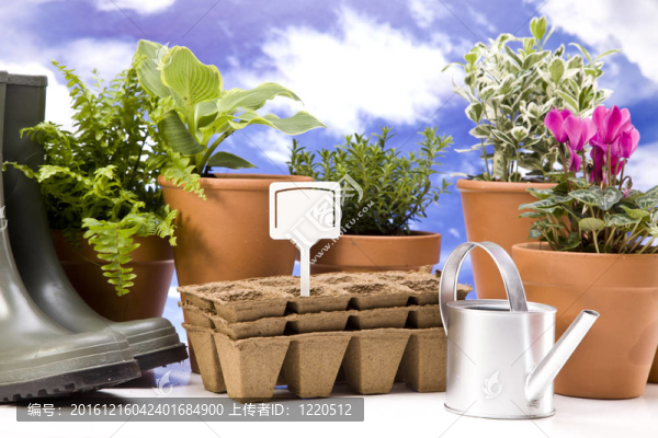 花卉與園林工具