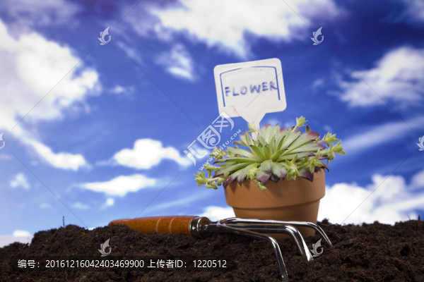 花卉與園林工具