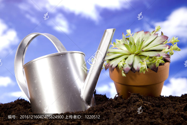 花卉與園林工具