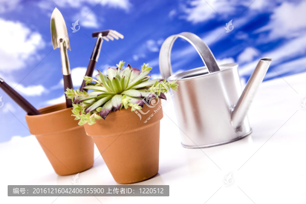 天空上的花和花園工具