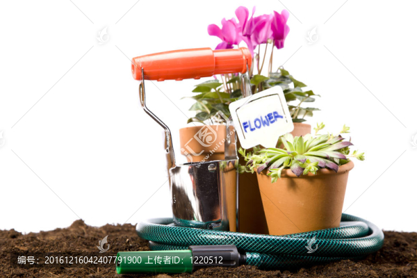 花卉與園林工具