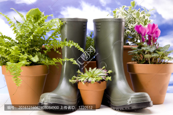 花卉與園林工具