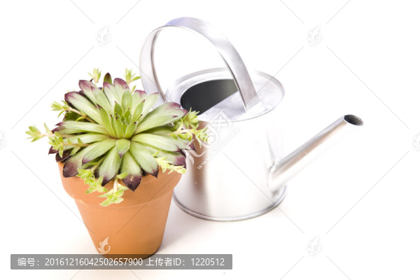 花卉與園林工具