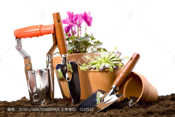 花卉與園林工具