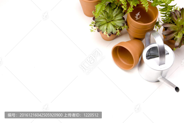 花卉與園林工具