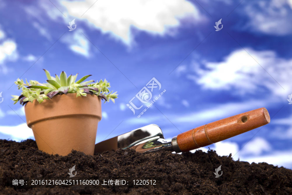 花卉與園林工具