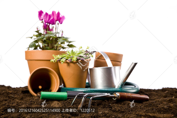 花卉與園林工具