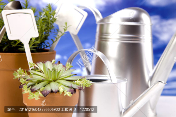 花卉與園林工具