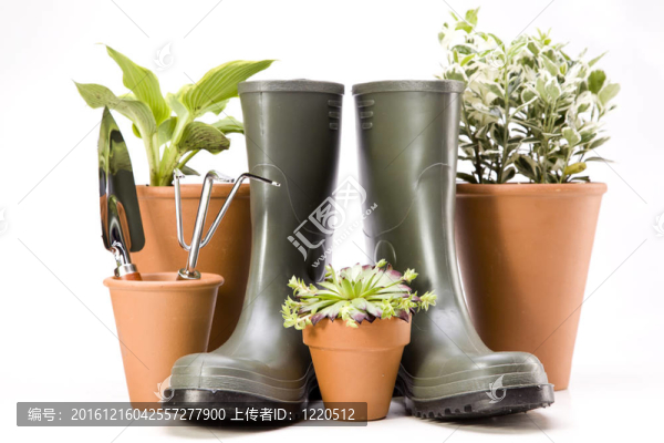 花卉與園林工具
