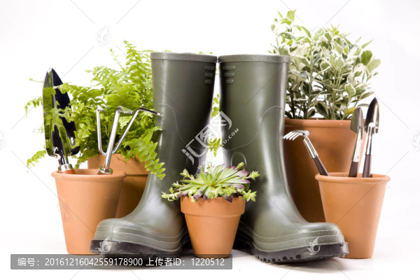 花卉與園林工具