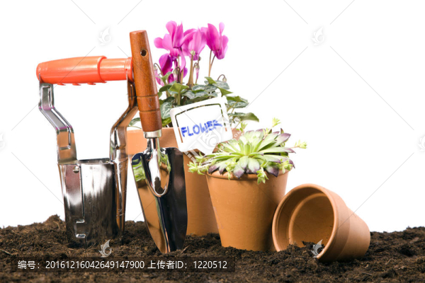 花卉與園林工具