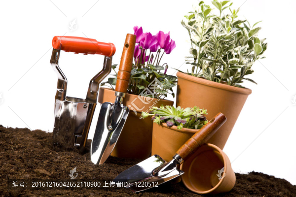 花卉與園林工具