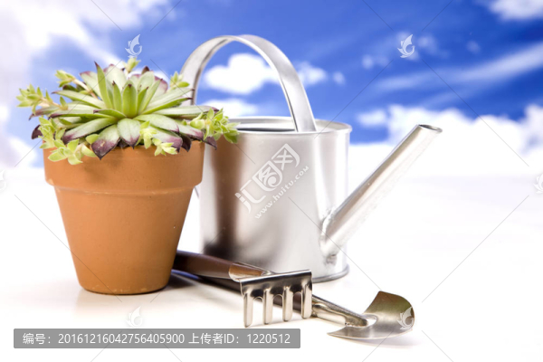 花卉與園林工具