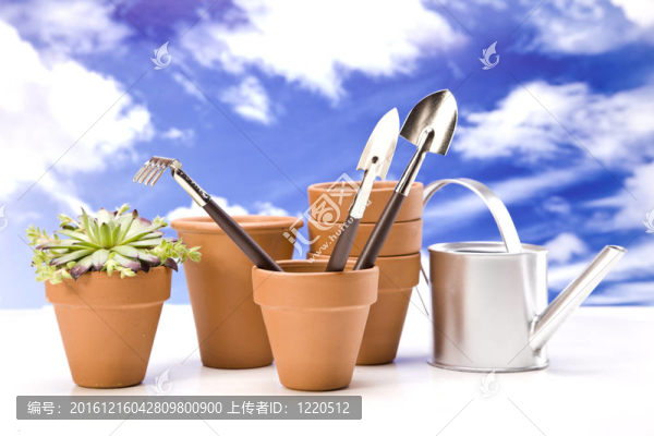 花卉與園林工具