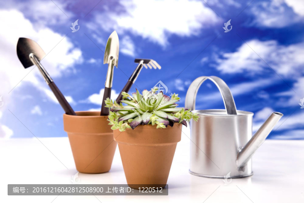 花卉與園林工具