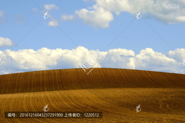 犁過(guò)的田地