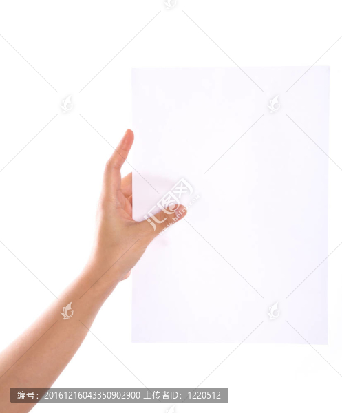 白色背景上的手和紙