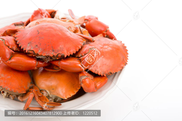 白蒸蟹