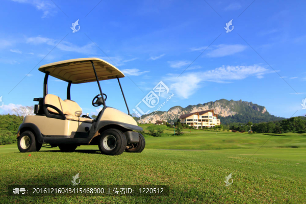 路徑上的高爾夫球車；漂亮的綠草和藍天背景
