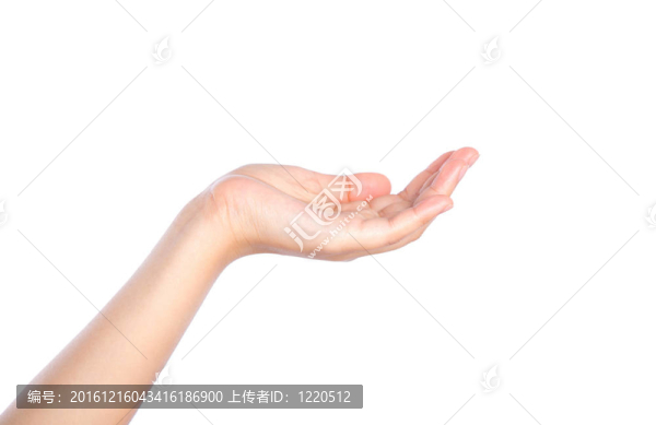 美麗的女人手孤立白色背景